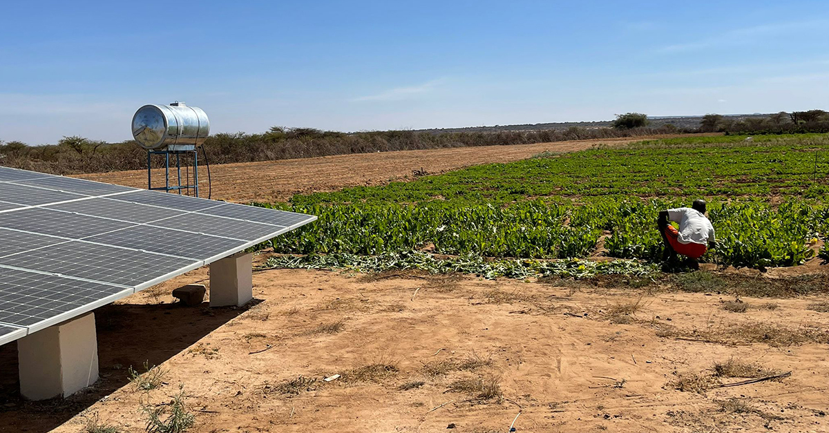 ClearSky-Power's-solar-drip-irrigation-project